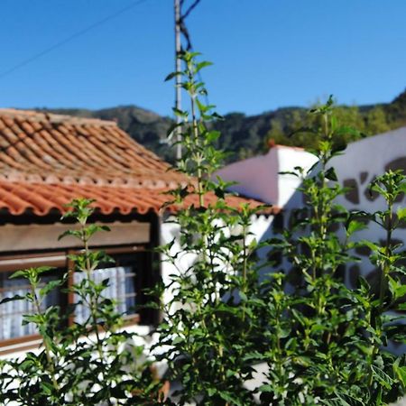 Ilusiones Villa Tejeda  Ngoại thất bức ảnh